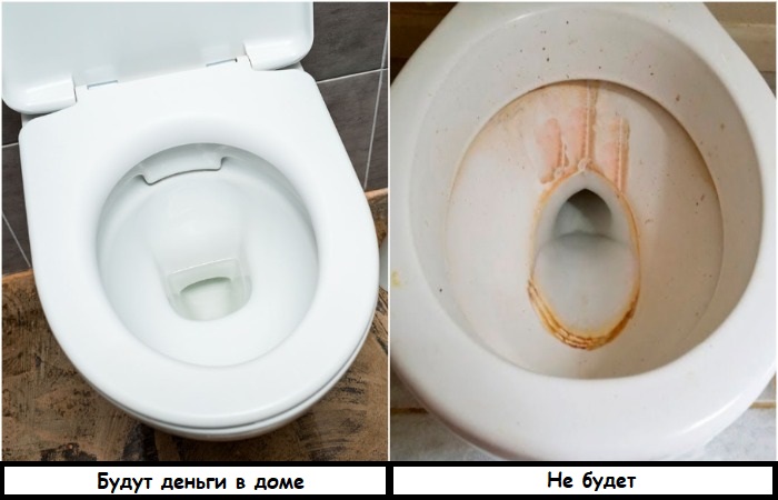 Чтобы водились деньги, туалет нужно содержать в чистоте Чтобы водились деньги, туалет нужно содержать в чистоте