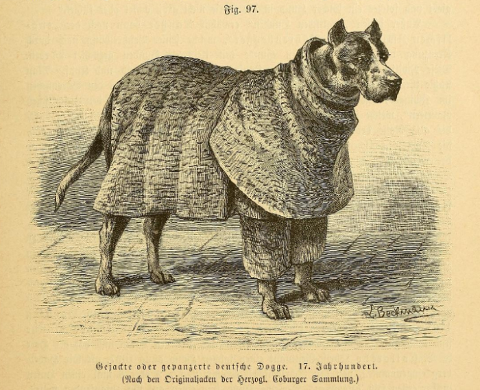 Собака в плаще /Фото:wikipedia.org Собака в плаще /Фото:wikipedia.org