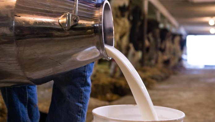 Жирное молочко пить надо тоже в меру. /Фото: milknews.ru Жирное молочко пить надо тоже в меру. /Фото: milknews.ru