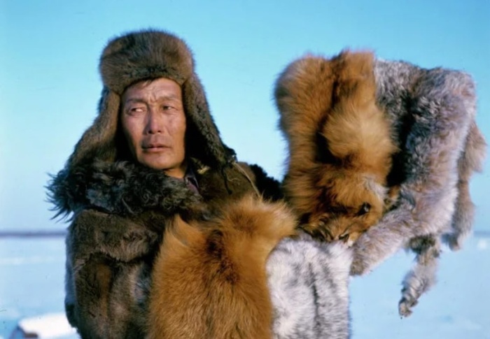 Настоящее сокровище - пушнина. |Фото: ВКонтакте. Настоящее сокровище - пушнина. |Фото: ВКонтакте.