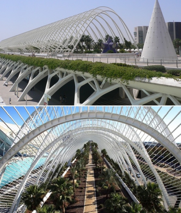 L'Umbracle Valencia – футуристическая оранжерея-набережная. L'Umbracle Valencia – футуристическая оранжерея-набережная.