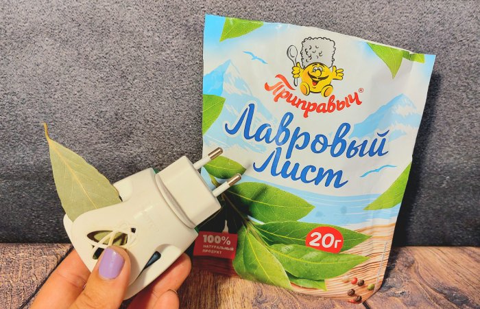 Лавровый лист отпугнёт всех комаров! Лавровый лист отпугнёт всех комаров!