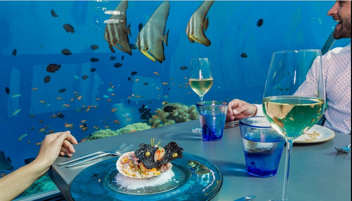 Заведение, расположенное под водой. /Фото: tripadvisor.co.uk Заведение, расположенное под водой. /Фото: tripadvisor.co.uk