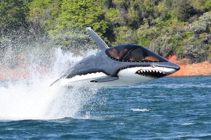Seabreacher имеет длину чуть более 5 метров/ Фото: aquaticaviation.net