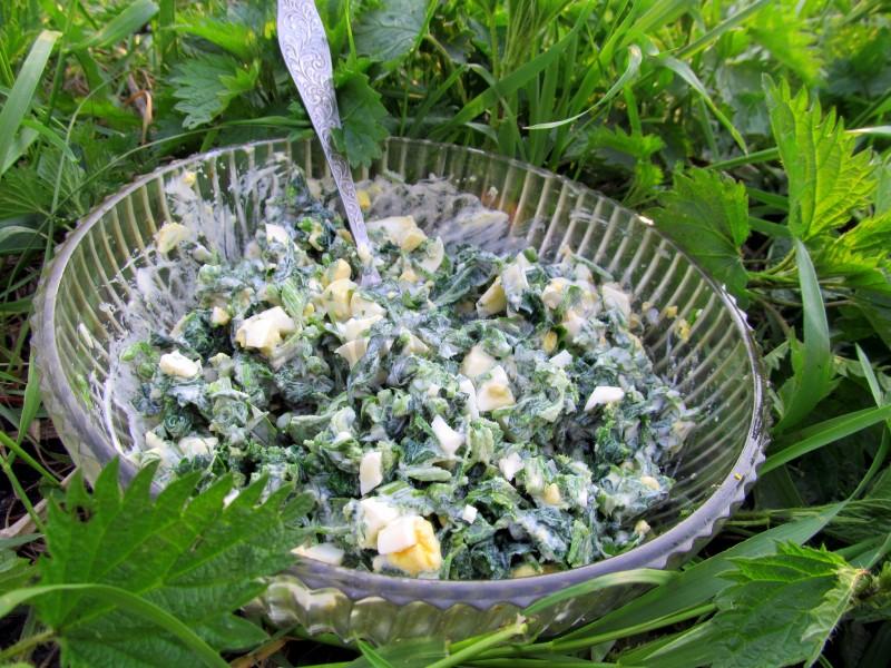 Салат из крапивы