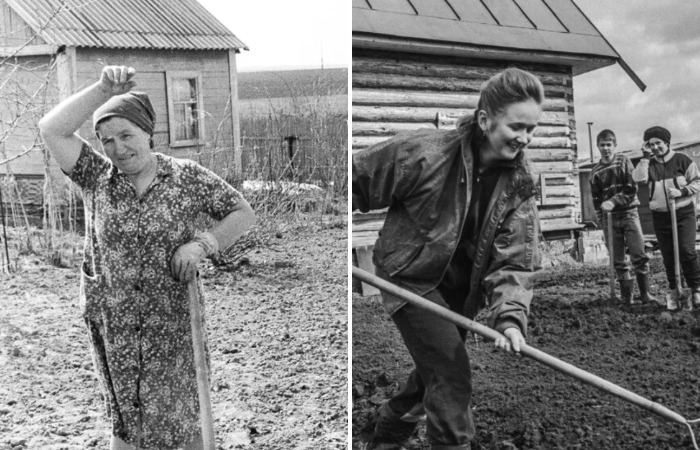 Граждане выращивали на своих участках урожай Граждане выращивали на своих участках урожай