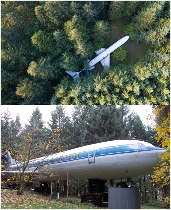 Boeing 727 припаркован в сосновом лесу, который Брюс высадил более 50 лет назад. Boeing 727 припаркован в сосновом лесу, который Брюс высадил более 50 лет назад.
