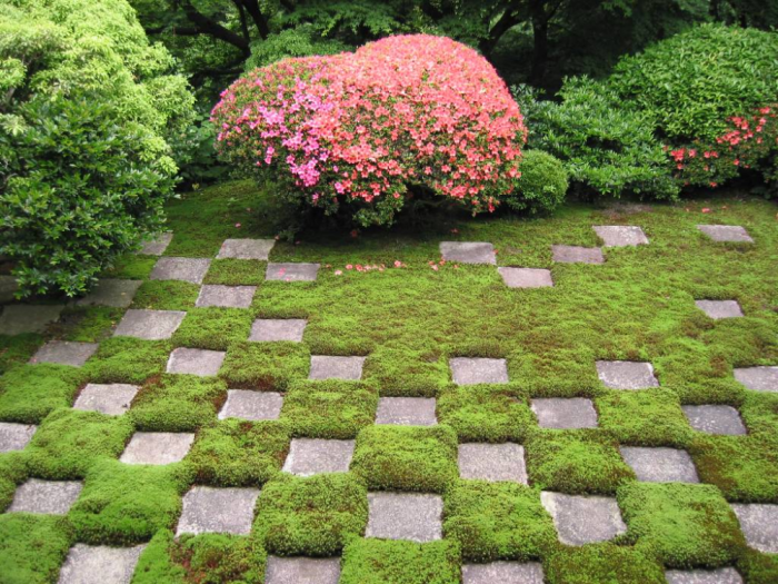 Тропинка из мха /Фото:zelengarden.ru Тропинка из мха /Фото:zelengarden.ru