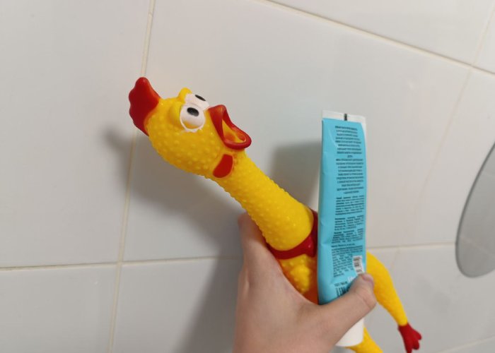 Просто нанесите зубную пасту на игрушку! Просто нанесите зубную пасту на игрушку!