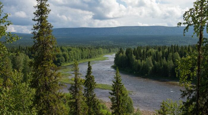 Нетронутые человеком леса Коми решили охранять на мировом уровне. /Фото: ourreg.ru Нетронутые человеком леса Коми решили охранять на мировом уровне. /Фото: ourreg.ru