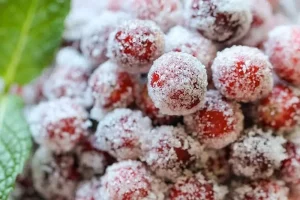 Конфеты из боярышника