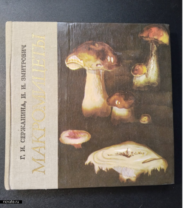 Книга книг! Книга книг!