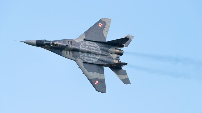 Большая часть МиГ-29 стоит на вооружении ВКС России/ Фото: wikimedia.org Большая часть МиГ-29 стоит на вооружении ВКС России/ Фото: wikimedia.org