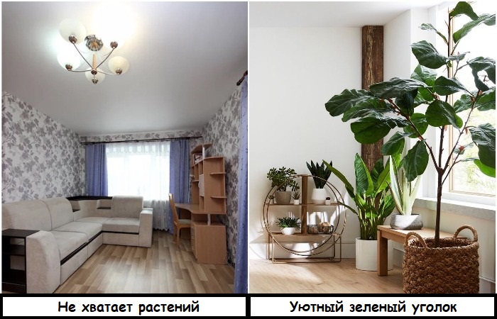 Сделайте в гостиной «зеленый уголок» Сделайте в гостиной «зеленый уголок»