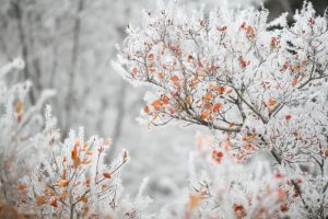 Прогулки зимой