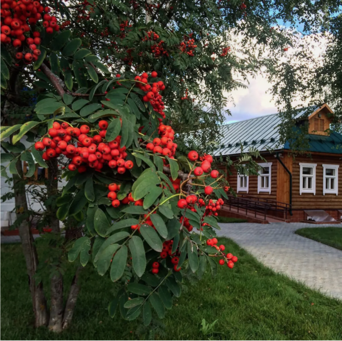 Будет смотреться изумительно /Фото:прекраснодар.рф Будет смотреться изумительно /Фото:прекраснодар.рф