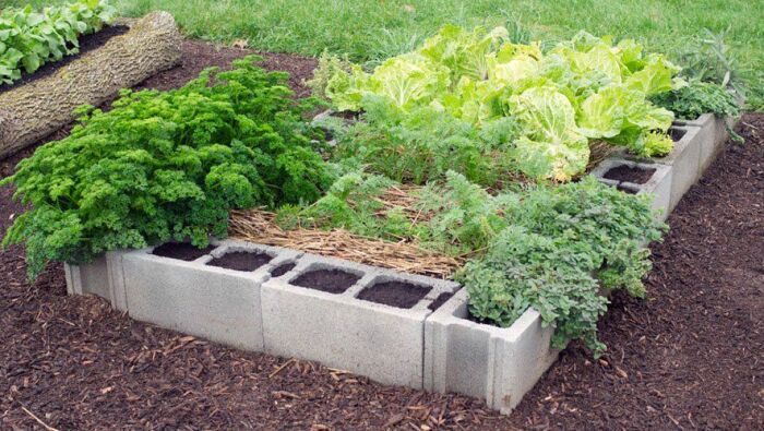 Грядка из шлакоблоков /Фото:ru.pinterest.com Грядка из шлакоблоков /Фото:ru.pinterest.com