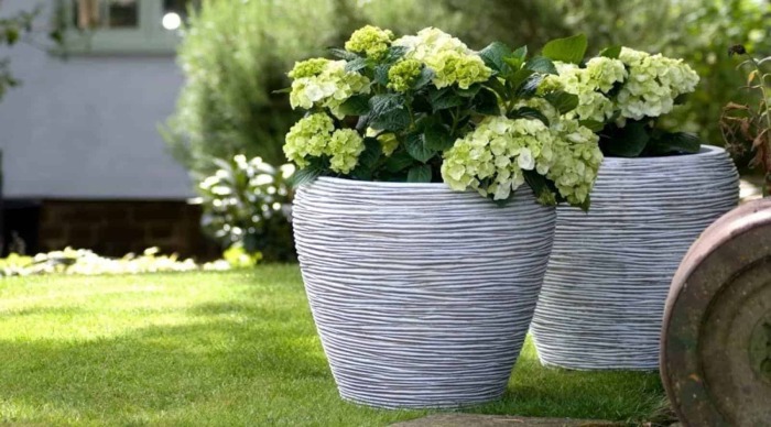 Бетон очень сильно впитывает влагу /Фото:gardenspace24.ru Бетон очень сильно впитывает влагу /Фото:gardenspace24.ru
