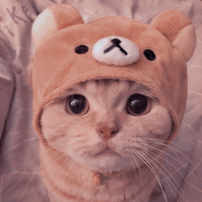 А мой сына тебе как??????????????? / Фото: pinterest.com А мой сына тебе как??????????????? / Фото: pinterest.com