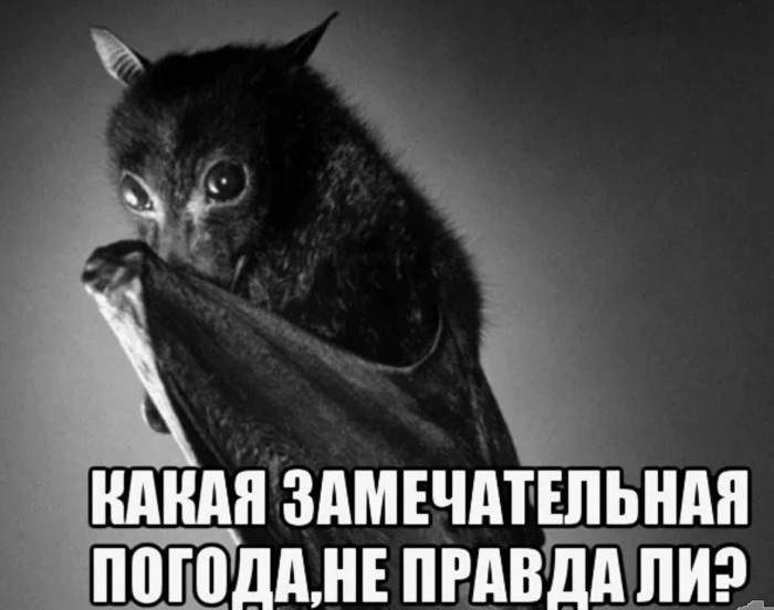 А погода-то прекрасная, да??? / Фото: risovach.ru А погода-то прекрасная, да??? / Фото: risovach.ru