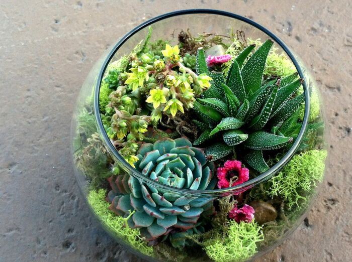 Очень красивая вещь /Фото:tr.pinterest.com Очень красивая вещь /Фото:tr.pinterest.com