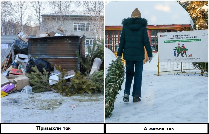 Не в мусорку: 5 вариантов, что делать с новогодней елкой после праздников