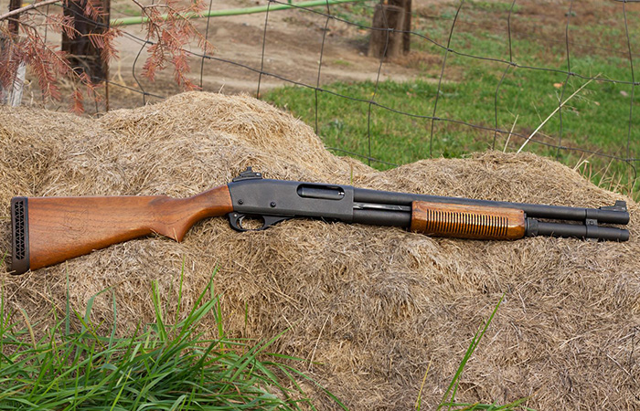 Дробовик Remington 870./ Фото: kartinki.pics Дробовик Remington 870./ Фото: kartinki.pics