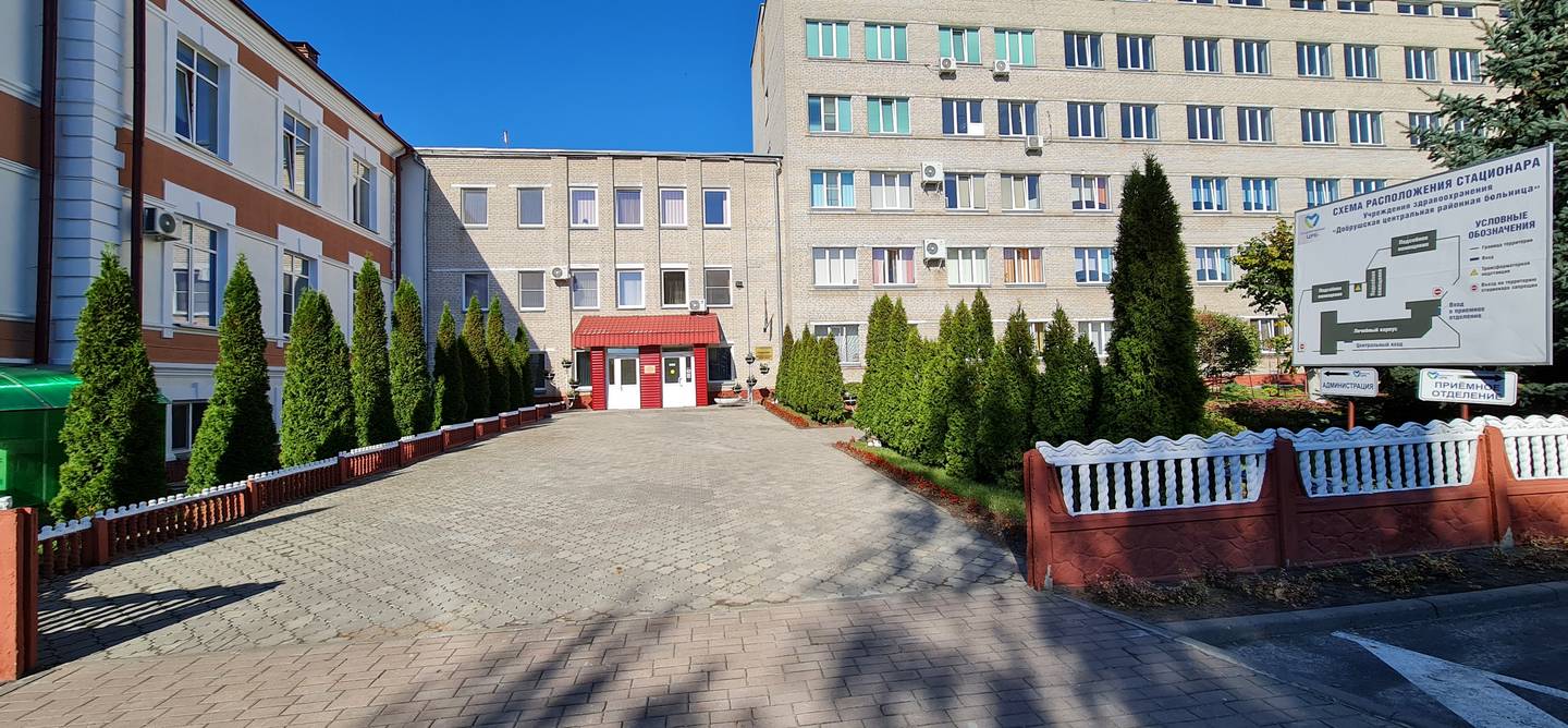 Проект «Весеннее пробуждение»