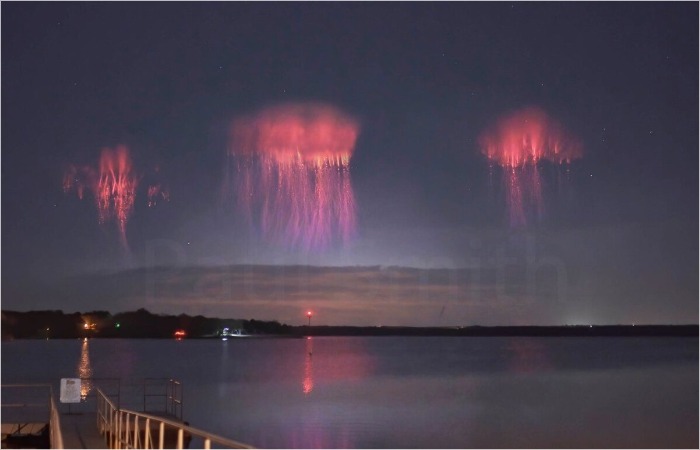 Спрайты / Источник: space.phys.msu.ru Спрайты / Источник: space.phys.msu.ru
