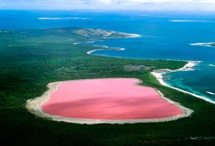 Австралийский водоём, который как будто заполнили ярко-розовой краской. /Фото: pinterest.com Австралийский водоём, который как будто заполнили ярко-розовой краской. /Фото: pinterest.com