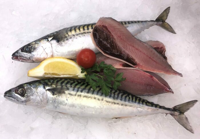 Мясо скумбрии нежное, полезное и в меру жирное.  Фото: fresh-cornish-fish.co.uk.