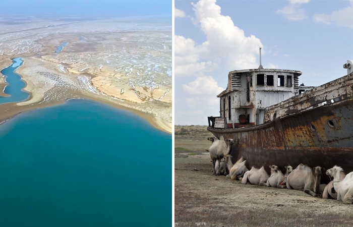 Почему Аральское море так быстро обмелело и сократилось в 21 раз