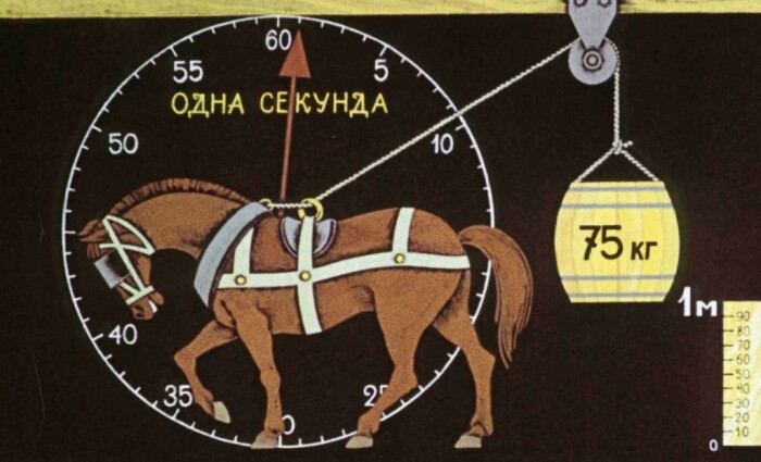Лошадиная сила /Фото:multiurok.ru
