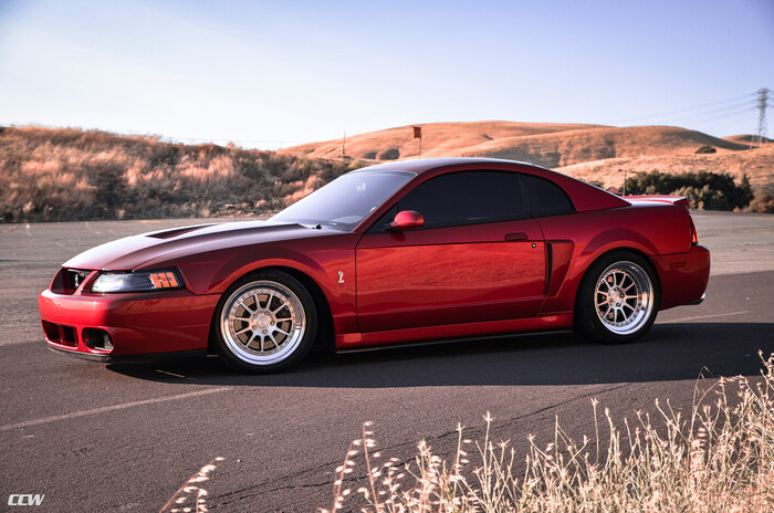 Mustang SVT Cobra могла разогнаться до 100 км/ч за 4,5 секунды/ Фото: ccw-wheel.jp Mustang SVT Cobra могла разогнаться до 100 км/ч за 4,5 секунды/ Фото: ccw-wheel.jp