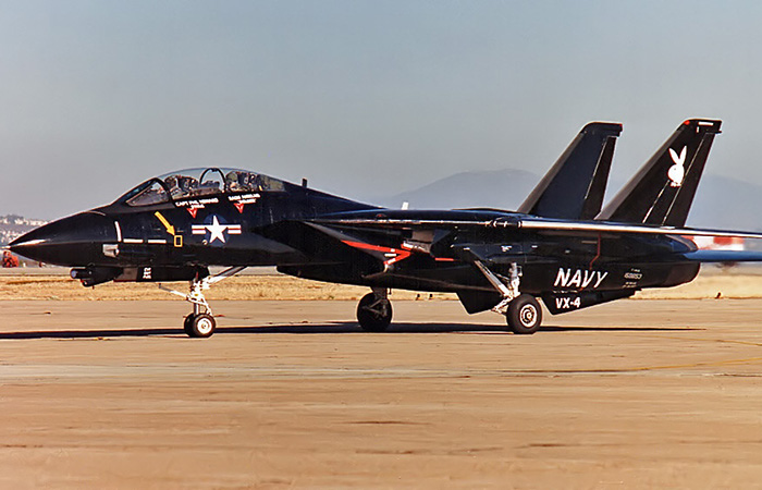 F-14a VX-4 Black Bunny./ Фото: dcs.world F-14a VX-4 Black Bunny./ Фото: dcs.world