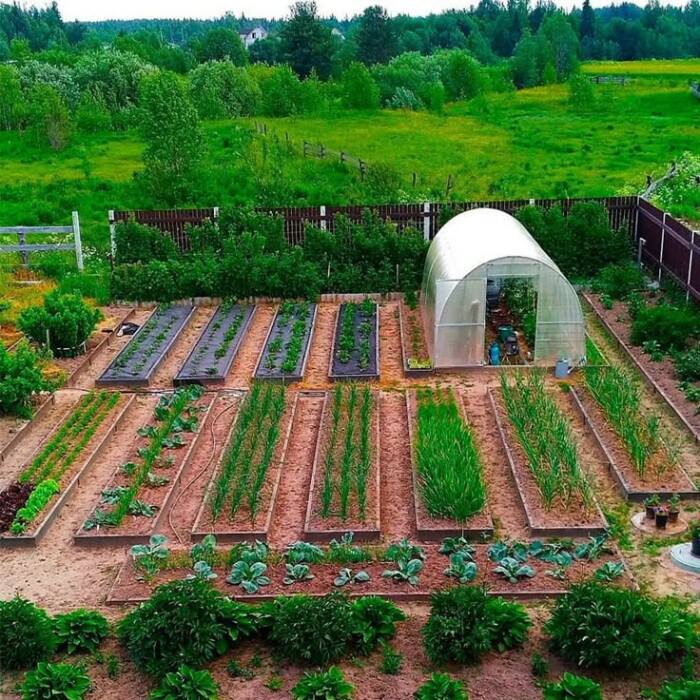 Работа на огороде не из лёгких /Фото:ru.pinterest.com Работа на огороде не из лёгких /Фото:ru.pinterest.com