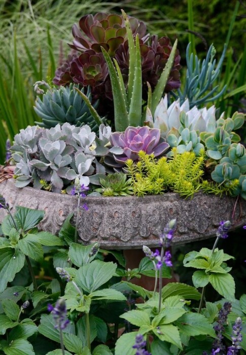 Цветы лучшее украшение участка /Фото:houzz.ru Цветы лучшее украшение участка /Фото:houzz.ru