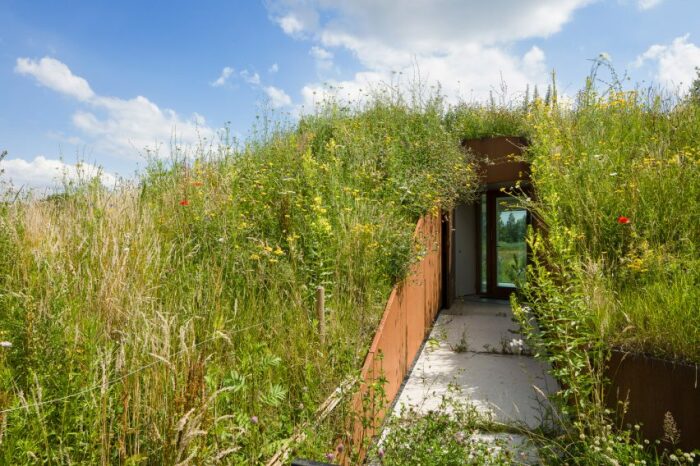 The House Underground – загородная резиденция, построенная вместо сарая для коз. | Фото: pristina.org.