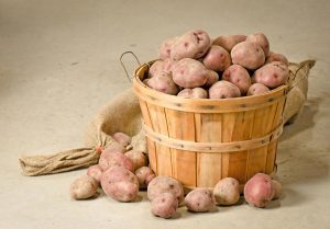 Как хранить картофель