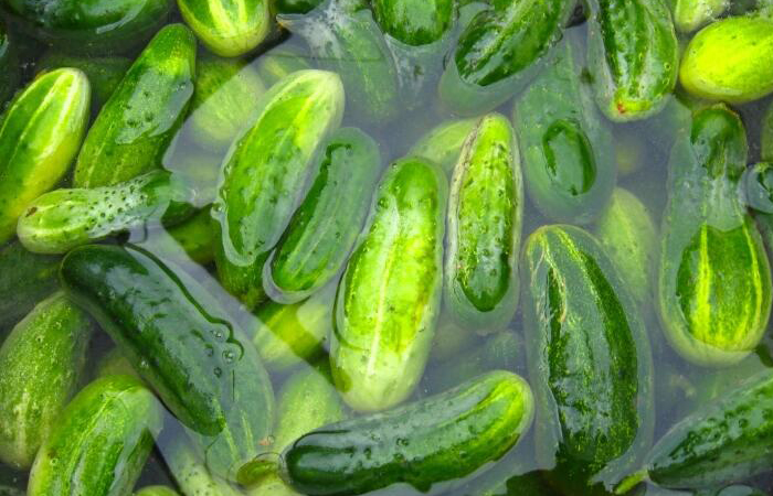 Вода хорошо вымывает кукурбитацин из огурцов/ фото: Pinterest Вода хорошо вымывает кукурбитацин из огурцов/ фото: Pinterest