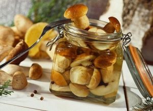маринованные грибы