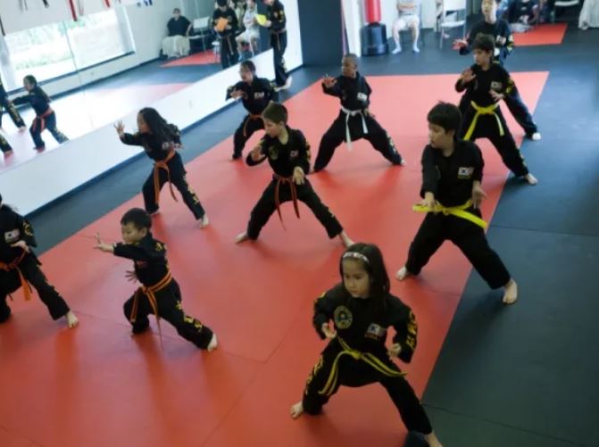 Занимаются кёксульдо и в Южной Корее, и в Северной. /Фото: martialsport.ru. Занимаются кёксульдо и в Южной Корее, и в Северной. /Фото: martialsport.ru.