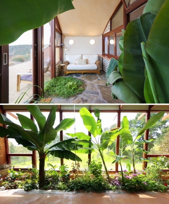 Нашлось место и для роскошной растительности (Earthships, Австралия).