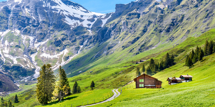 Горные массивы Швейцарии/ Фото: scenic.com.au Горные массивы Швейцарии/ Фото: scenic.com.au