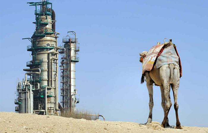 ОАЭ прославились благодаря обнаружению местонахождения нефти. / Фото: eg.ru ОАЭ прославились благодаря обнаружению местонахождения нефти. / Фото: eg.ru