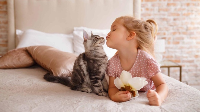 Коты не то, чтобы любят - скорее, позволяют себя любить. /Фото: guru.wildberries.ru