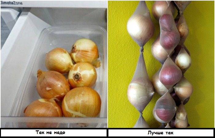 Храните лук не в холодильнике, а в колготках Храните лук не в холодильнике, а в колготках