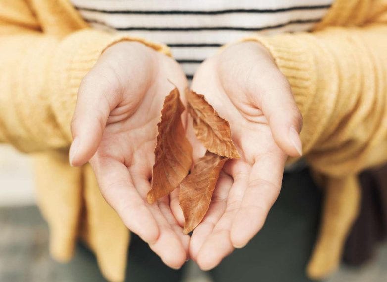 Как вернуть рукам ухоженность и здоровье в этот холодный период