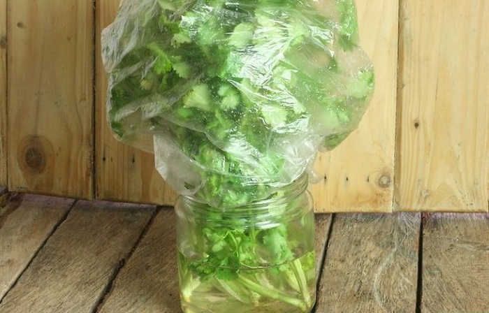 Накройте банку полиэтиленовым пакетом. / Фото: snus-outlet.ru