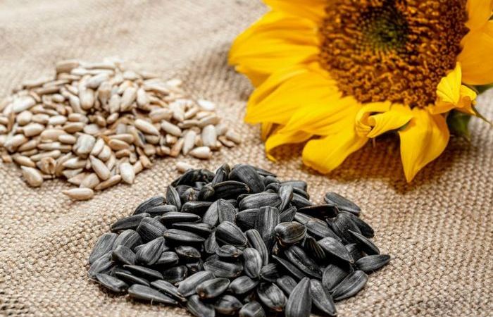 Без масла никуда. /Фото: market.yandex.ru. 